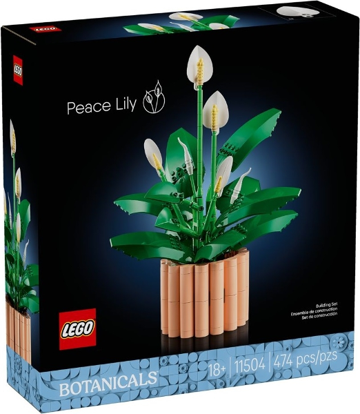 11504 Peace Lily