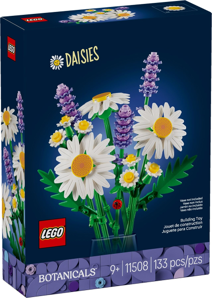 11508 Daisies