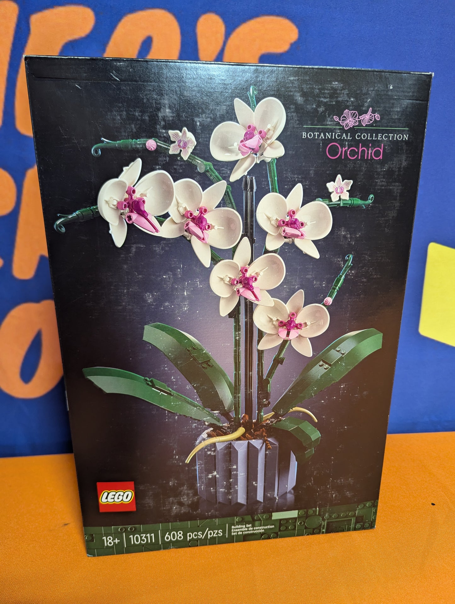 10311 Orchid
