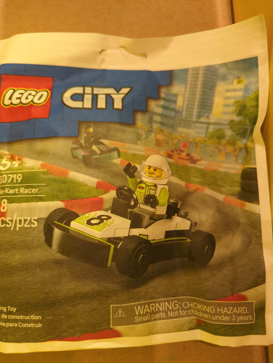 30719 Go-Kart Racer Polybag
