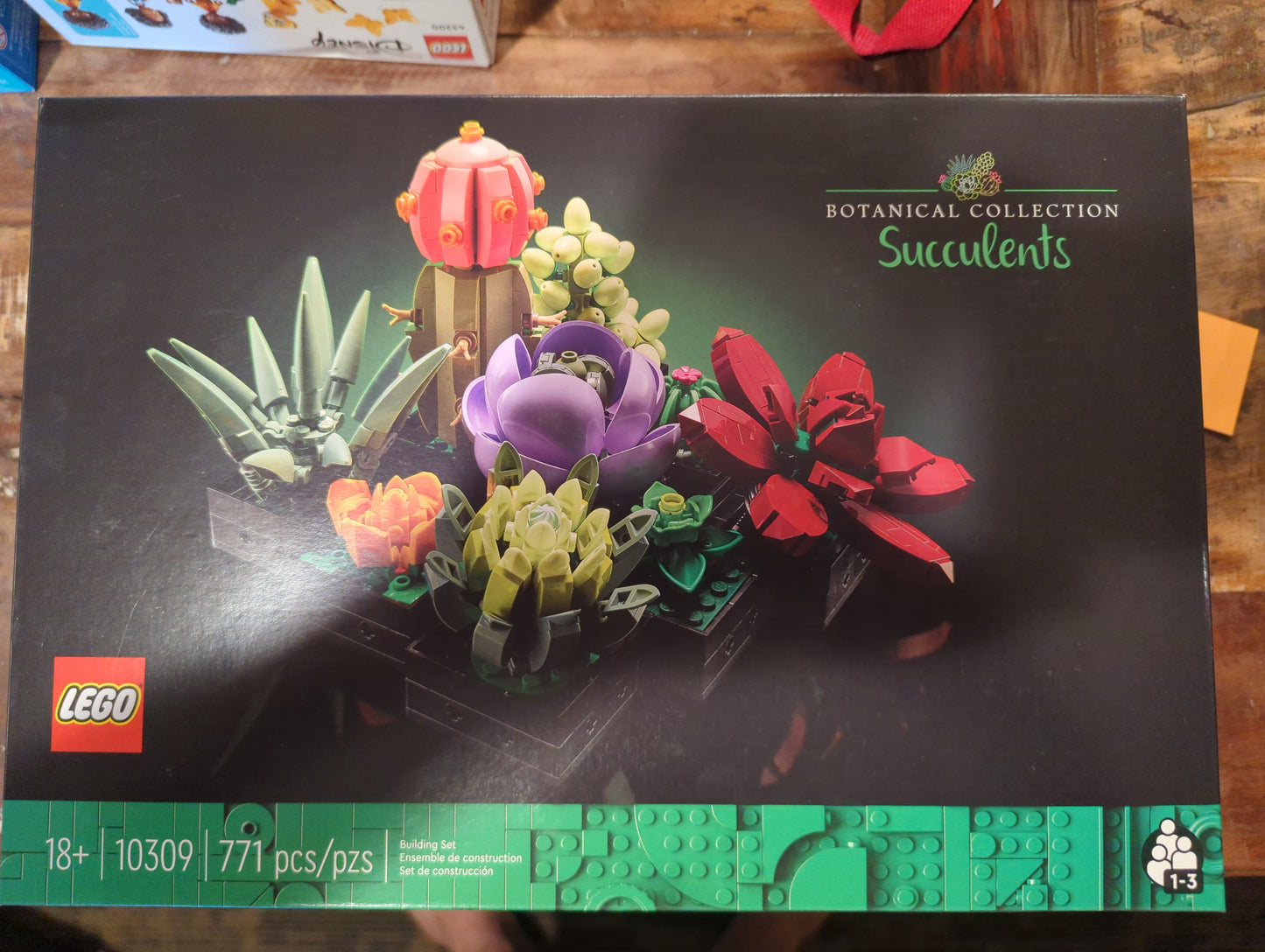 10309 Succulents